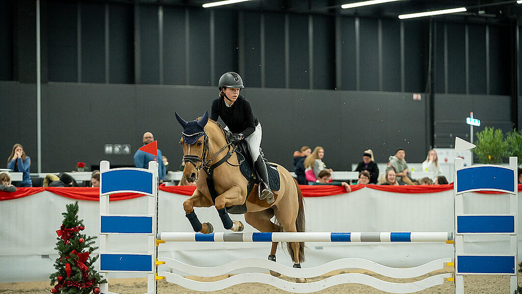 Amadeus Horse Indoors 2023