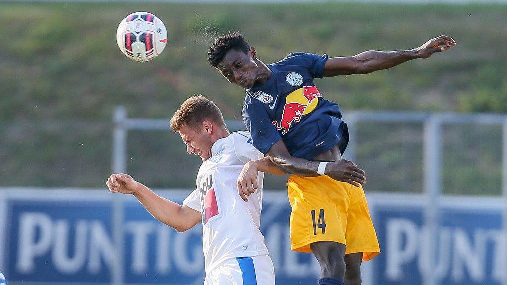 SC Wiener Neustadt - FC Liefering