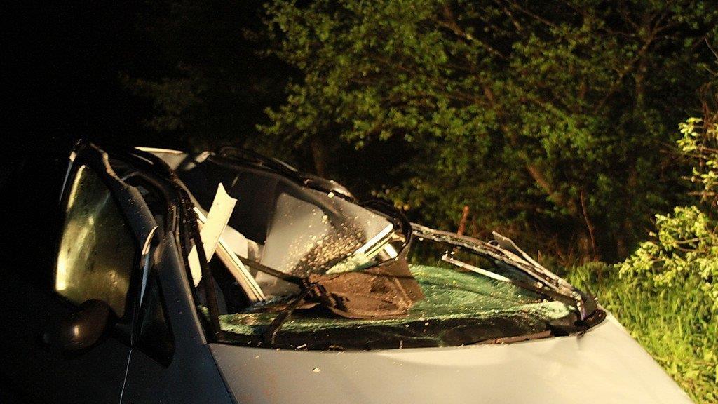 Bilder vom Einsatz in Nußdorf