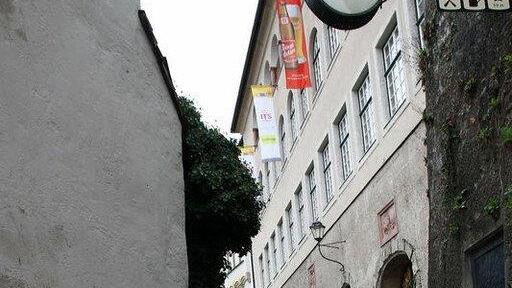 Bilder vom Lauf