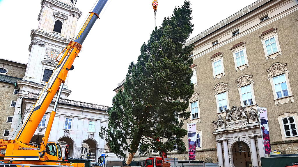 Baum am Christkindlmarkt eingetroffen II