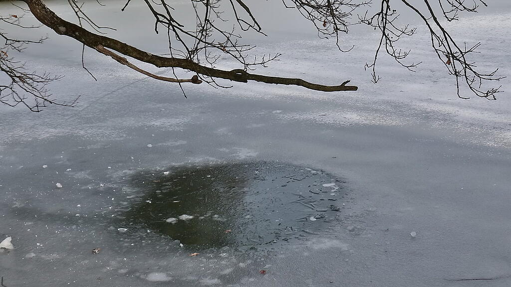 Leopoldskroner Weiher