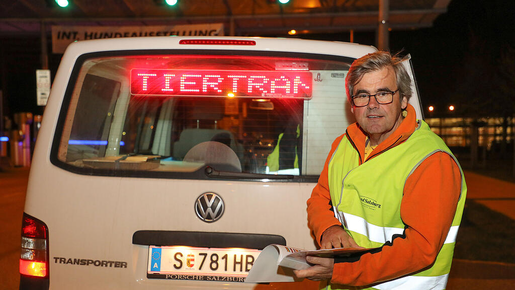 Tiertransport, Tiertransport-Inspektor, Manfred Pledl, Kälber-Transport, SB
