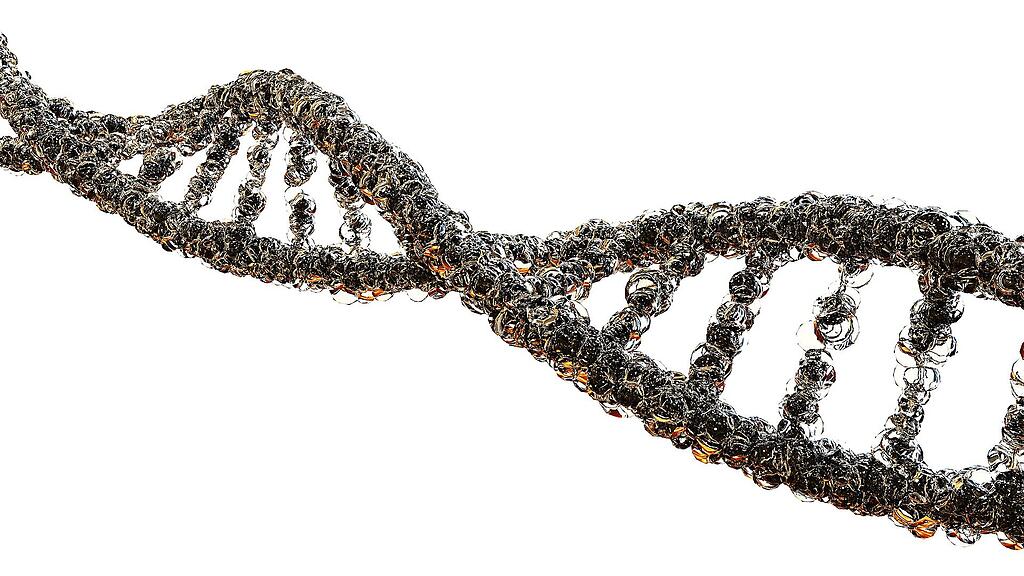 Symb_Gene Symb_Gentechnik