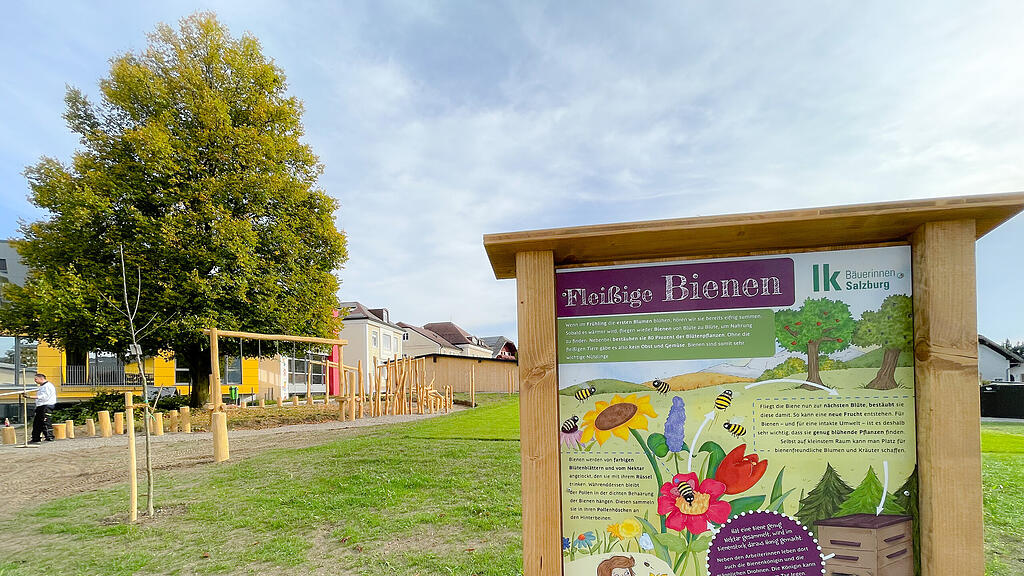 Eugendorf_Neue Sportanlage beim Schulhof_landwirtschaftlicher Lehrpfad_© Marktgemeinde Eugendorf-Wintersteller.jpg