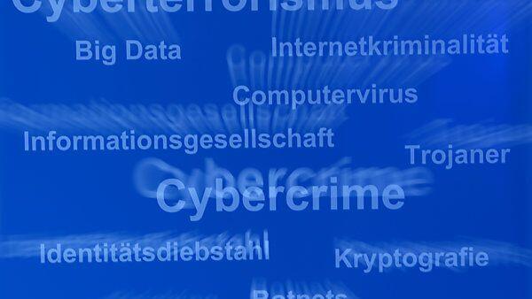 Botnet mit 600 infizierten Servern aus 150 Ländern verwendet