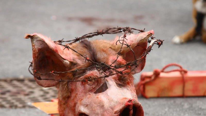 Tierrechtsdemo in Salzburg