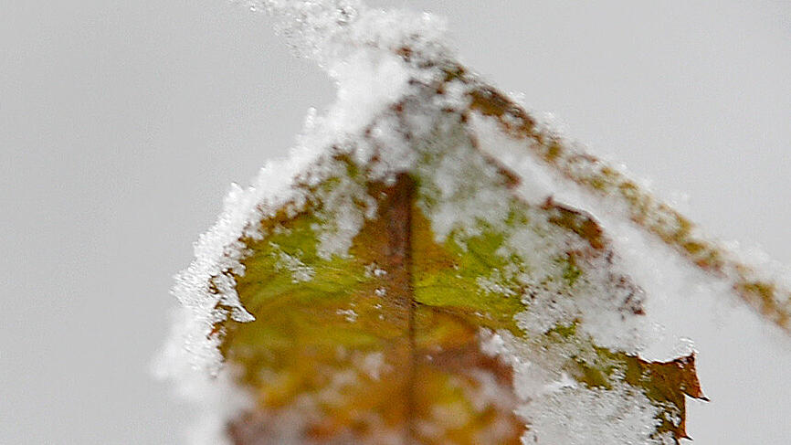 Schnee, Wetter, Salzburg, erster Schnee, SB