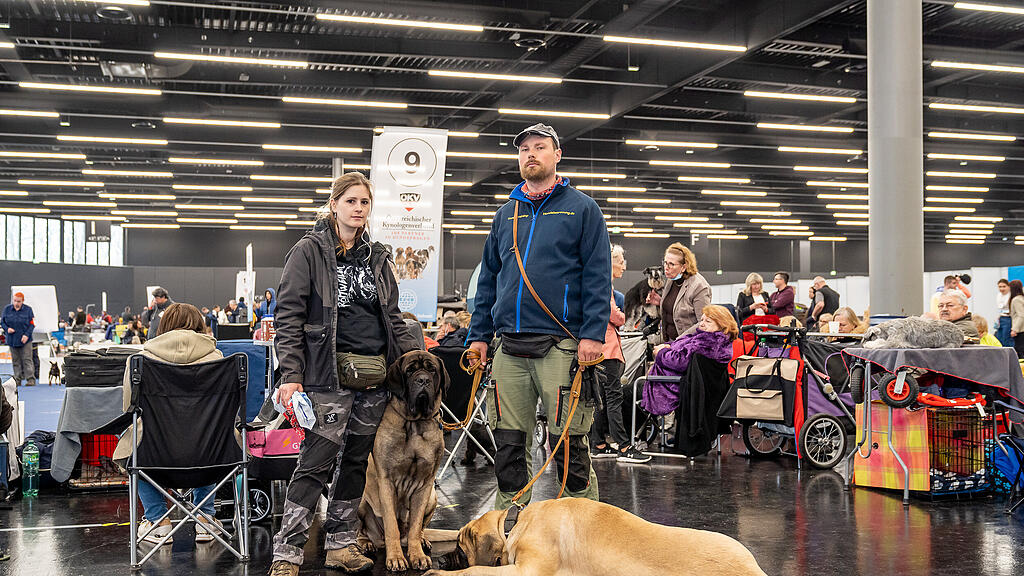 Internationale Hundeausstellung Salzburg 2022