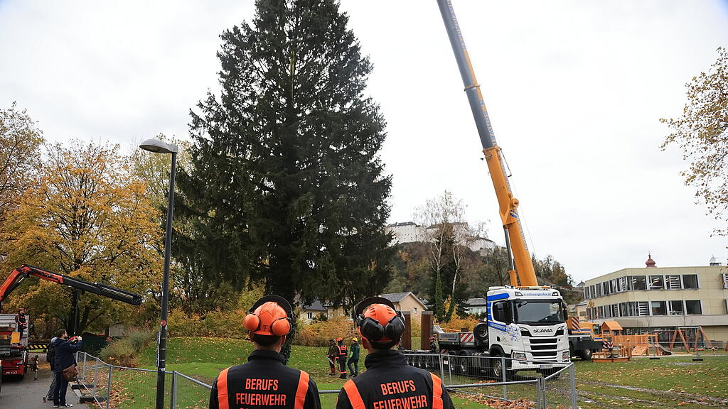 Baumernte, Salzburger Christkindlmarkt