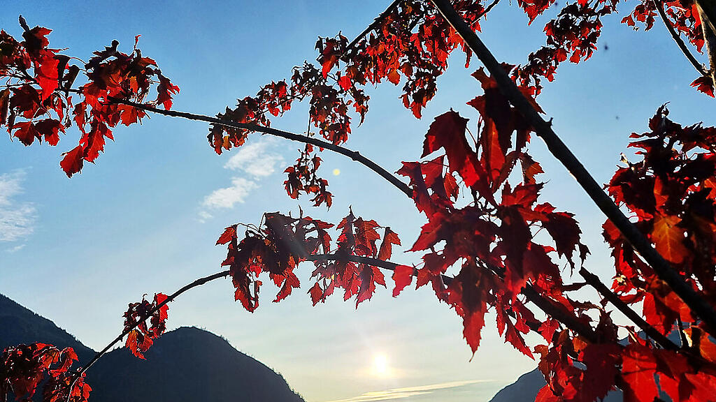 Erst am Sonntag endet das sommerliche Wetter im Oktober