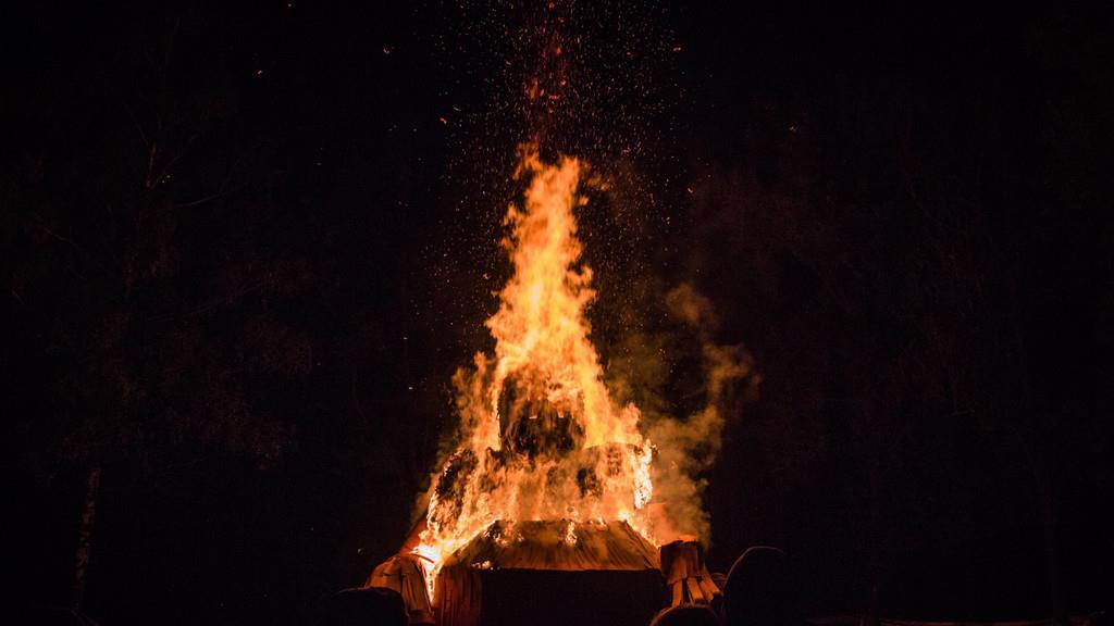 Burning Animal II