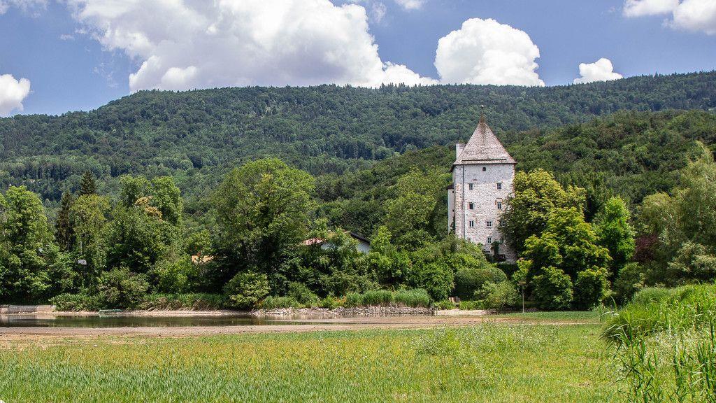 Verlandeter Weiher in St. Jakob am Thurn