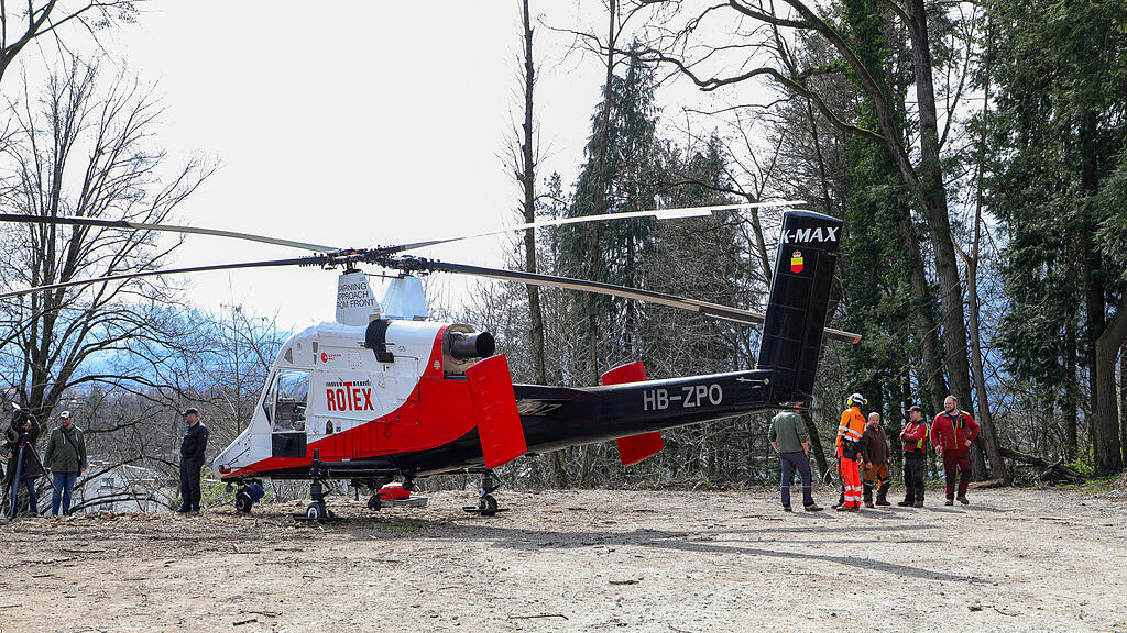 Baumfällungen per Hubschrauber am Kapuzinerberg