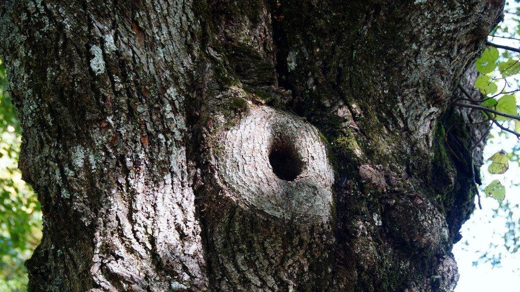 Herbst in Spital am Phyrn