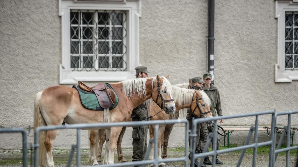 Bundesheer in Salzburg: Leistungsschau II