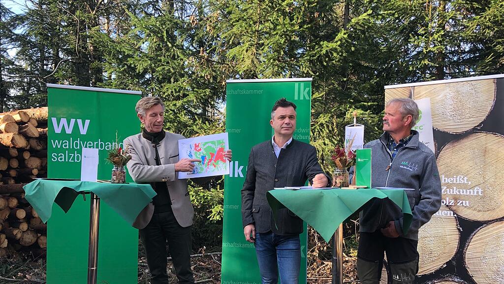 Waldbewirtschaftung Landwirtschaftskammer
