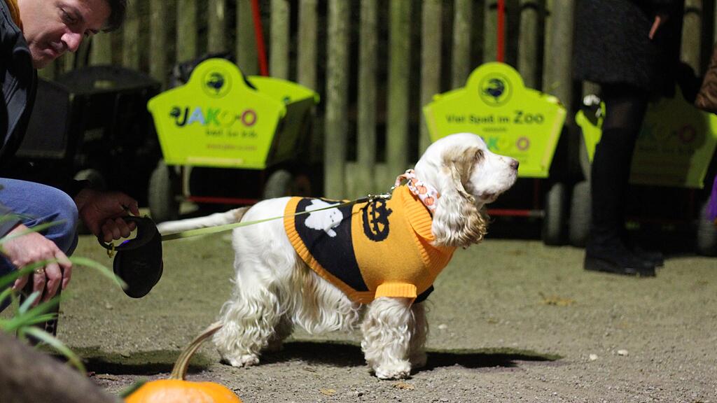 Halloween im Zoo