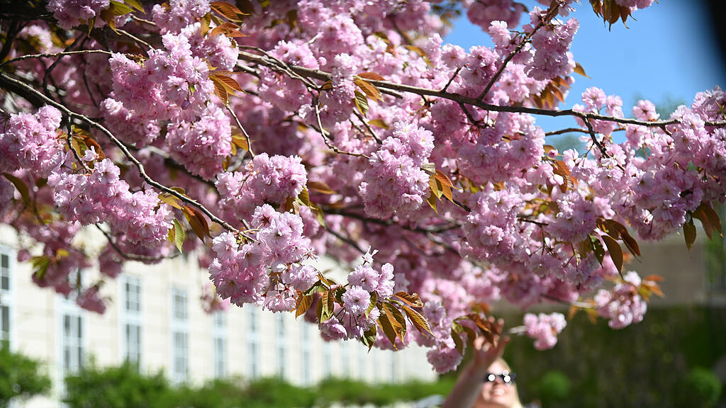 symb_Frühling, symb_Sonne, symb_WetterSalzburg