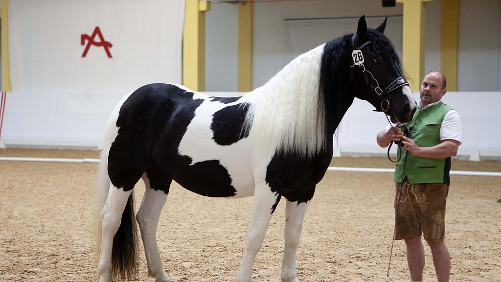 Pferd_Strobl