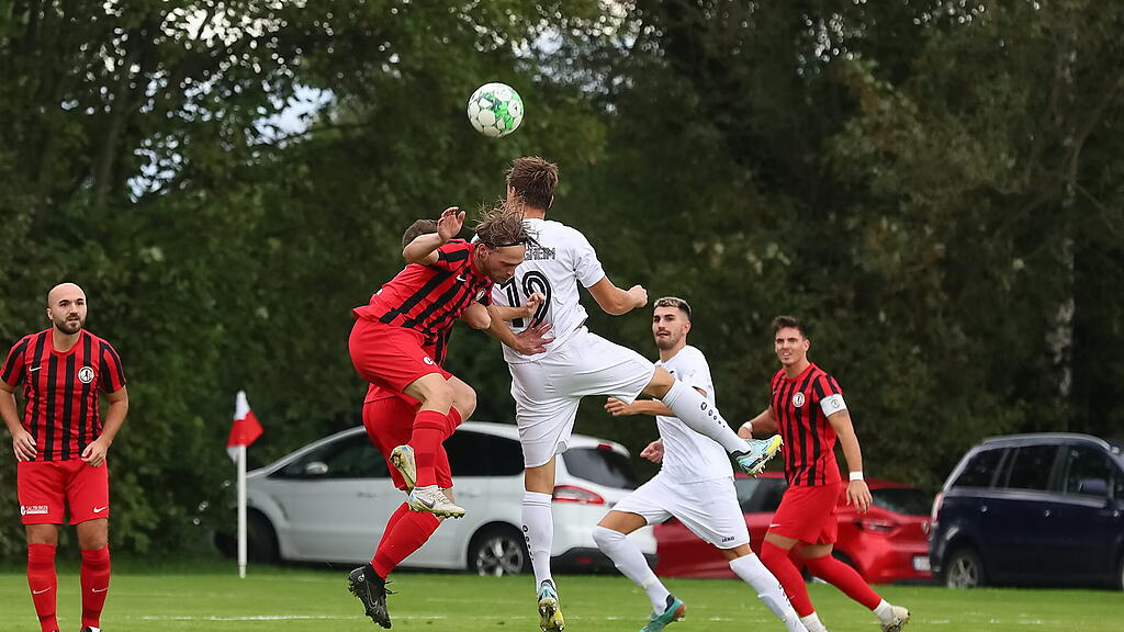SFV Cup: Gneis vs. Bergheim
