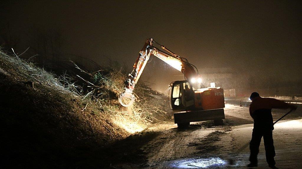Rodungsarbeiten an der A1