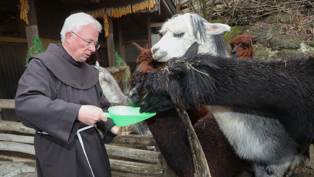 Zoo Salzburg: Erzbischof Lackner besucht Alpakas