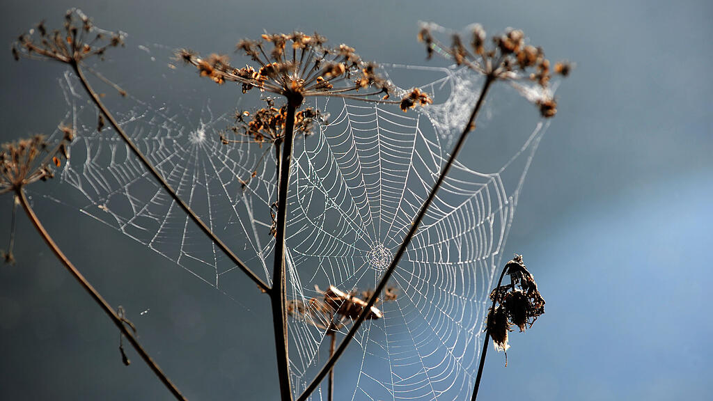 Als Altweibersommer wird eine Zeit im Herbst bezeichnet, in der ein Hochdruckgebiet stabiles Wetter und ein warmes Ausklingen des Sommers bringt.