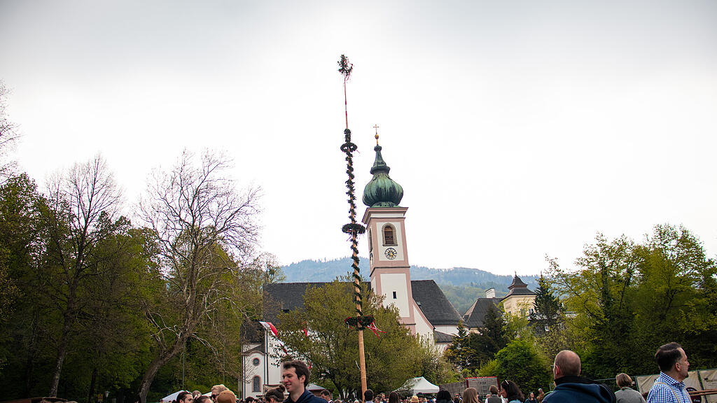 Maibaumaufstellen in Aigen