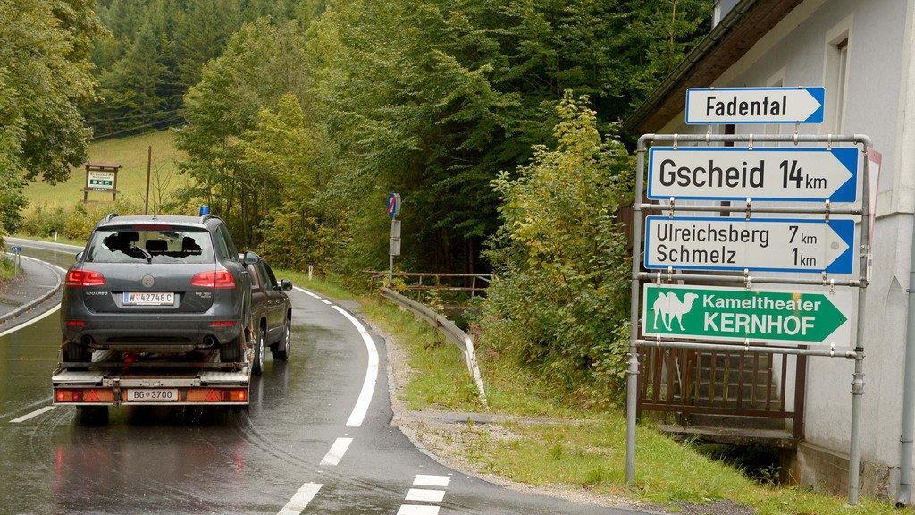 Vier Tote nach Amoklauf in NÖ