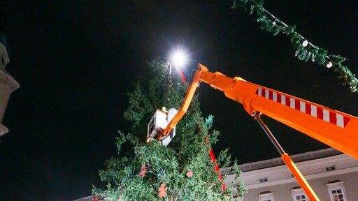 Windböe fällt Christbaum