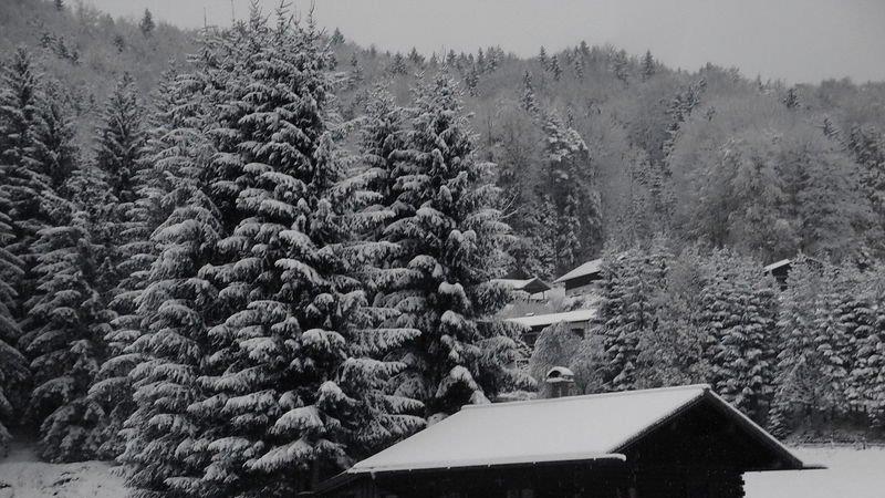 Winter in Ebenau