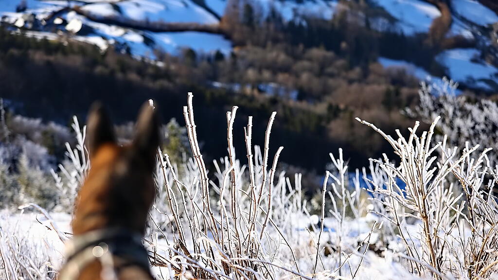 Wanderung über verschneiten Gaisberg