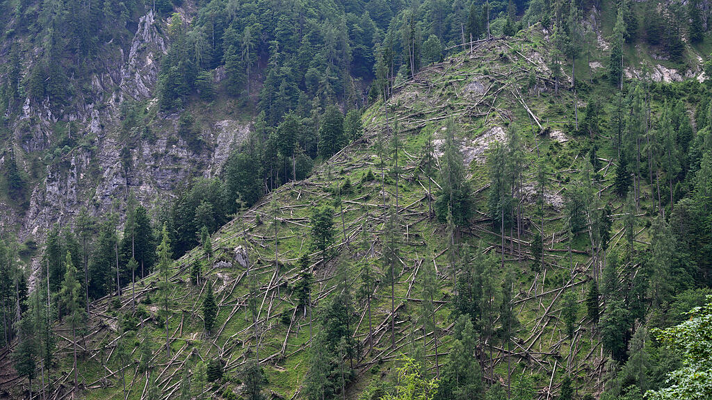 Meldungsliste(1)(241).jpg