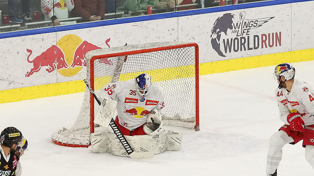 Eishockey, Halbfinale, EC Red Bull Salzburg, Vienna Capitals