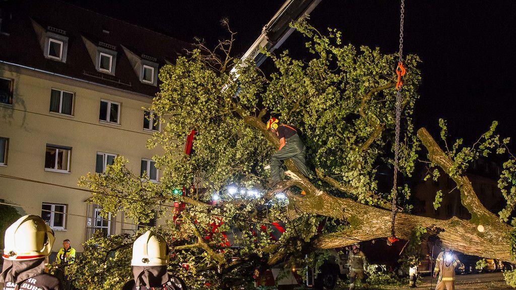 Sturm: Feuerwehren in Salzburg im Großeinsatz