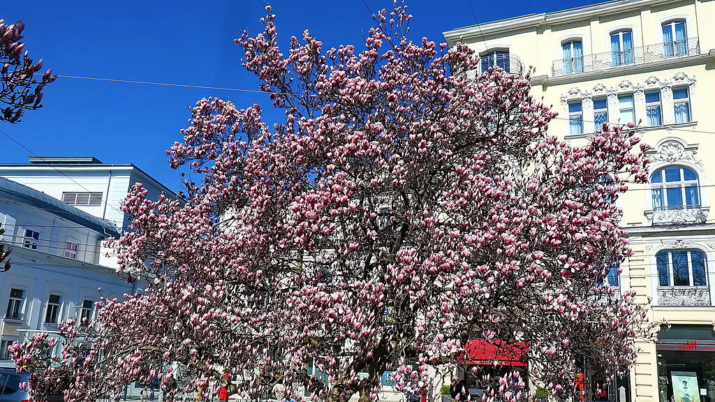 20190429fmt_makartplatz_ta_007.JPG
