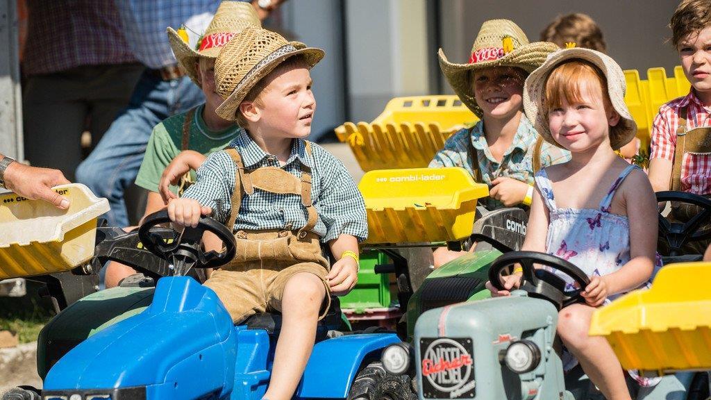 Walser Dorffest 2015, II