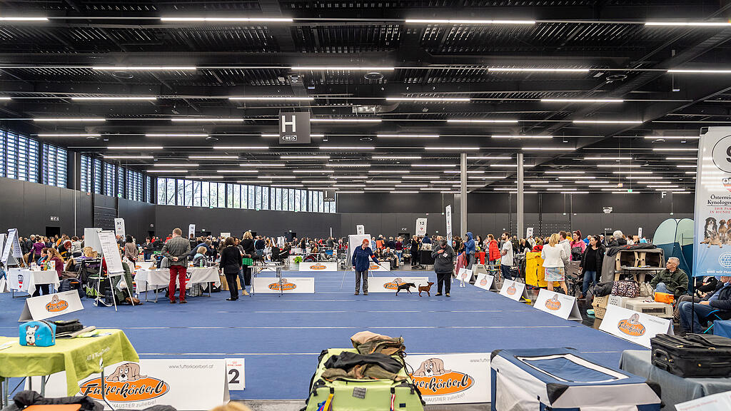 Internationale Hundeausstellung Salzburg 2022