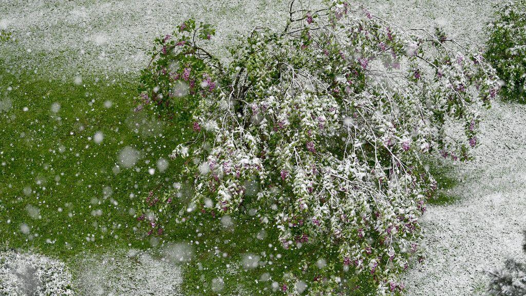 Wintereinbruch im April
