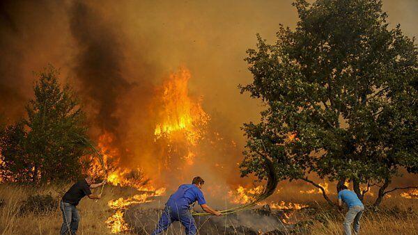 Brände haben in Spanien heuer bereits große Schäden angerichtet