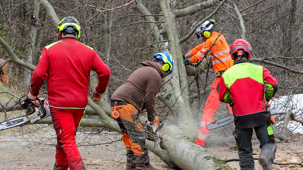 Baumfällungen per Hubschrauber am Kapuzinerberg