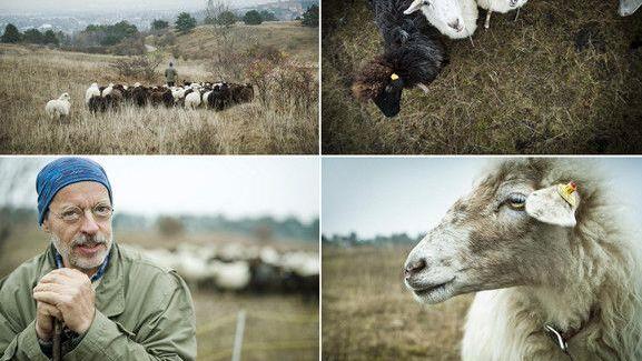 Beste Pressefotos mit dem "Objektiv 2018" ausgezeichnet