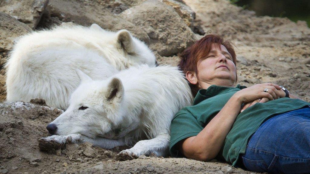 Die besten Tierbilder der Woche