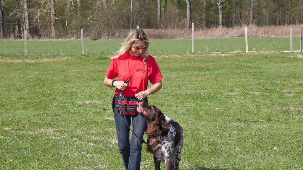 "Der gelbe Hund" in Nußdorf
