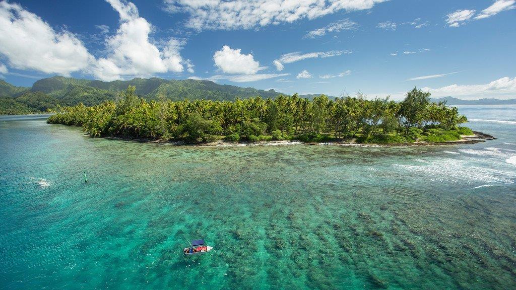 Insel-Shopping bei Tchibo
