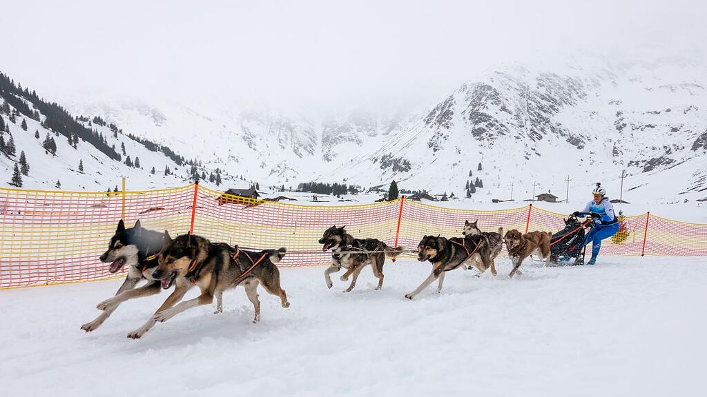 Schlittenhunde-WM in Sportgastein, Samstag