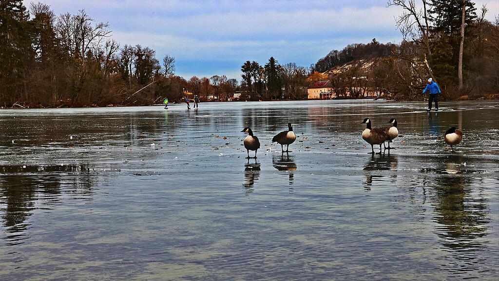 Leopoldskroner Weiher