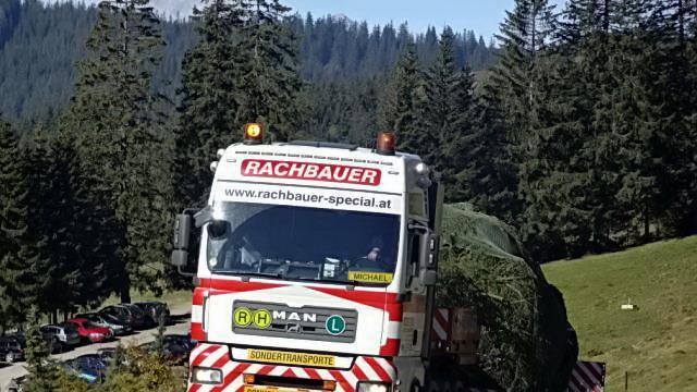 Christbaum aus Maria Alm