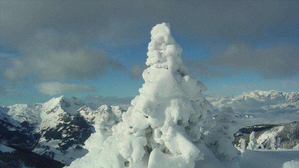 Eure schönsten Winterbilder I